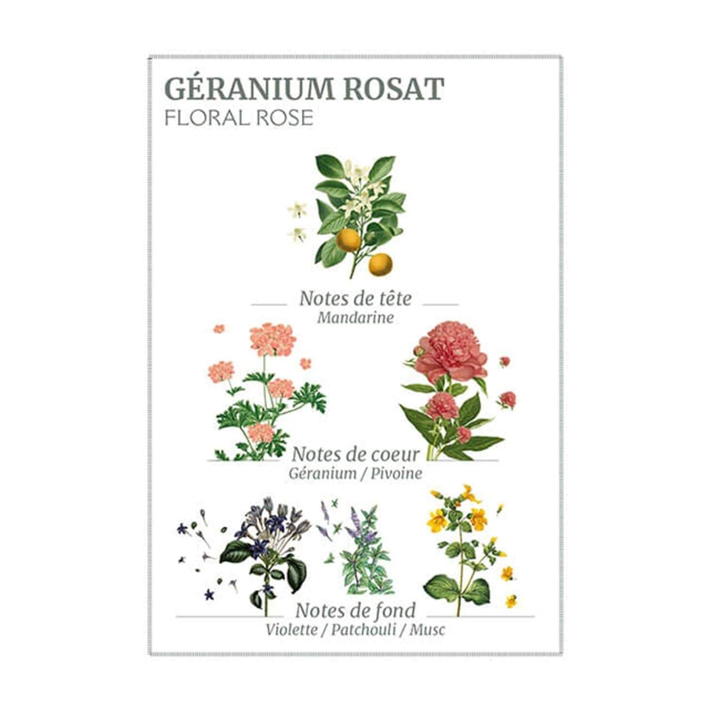 Panier Des Sans Rose Geranium Hand & Body Wash